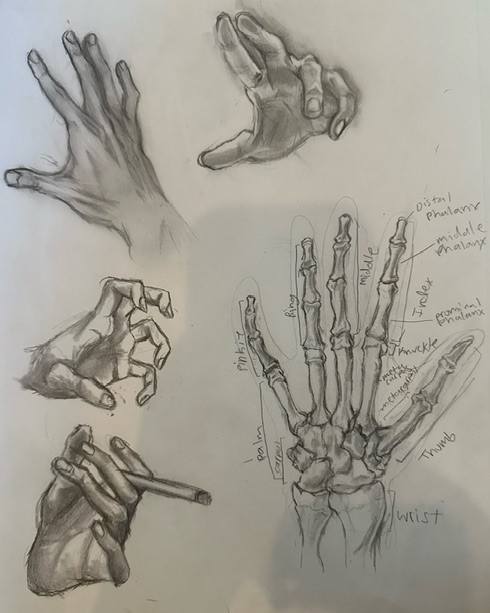 Hand Study